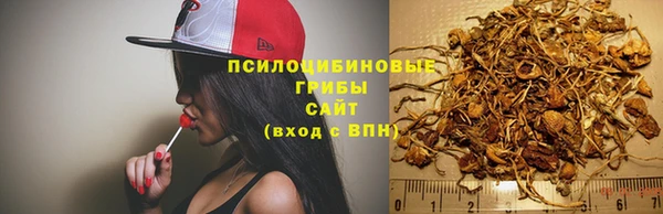 бутират Ельня