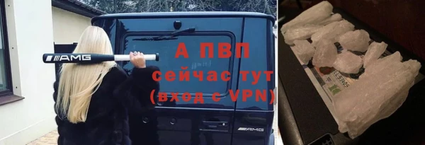 гашик Дмитриев