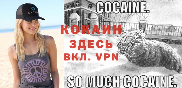 стафф Дмитров