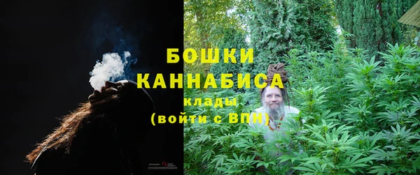 МДПВ Елизово
