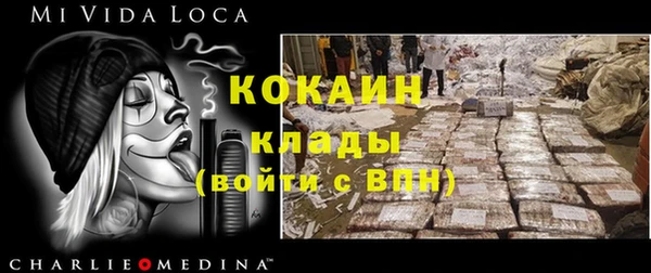 стафф Дмитров
